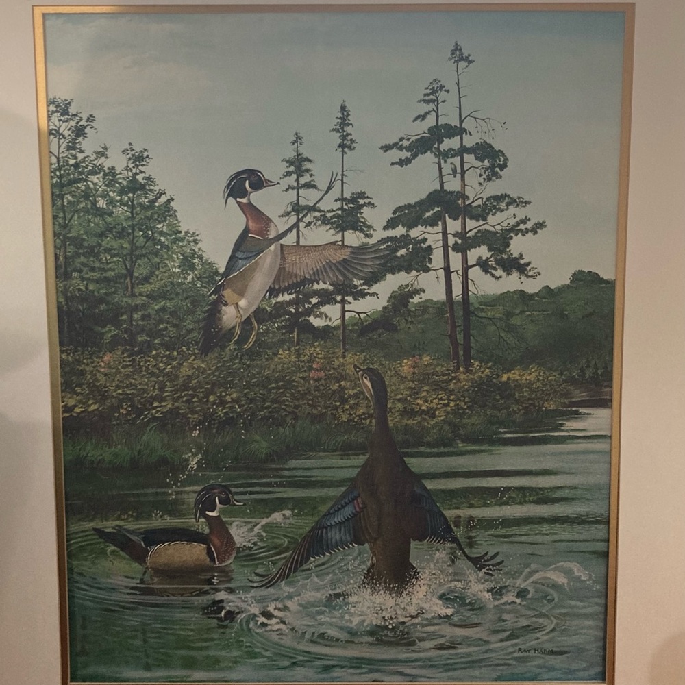 Ray Harm 1966 Wood Duck Print